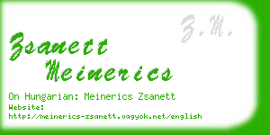 zsanett meinerics business card